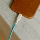 Fast Charging USB-C to USB-C Cable Phone Charger 4 ft | Bluebonnet