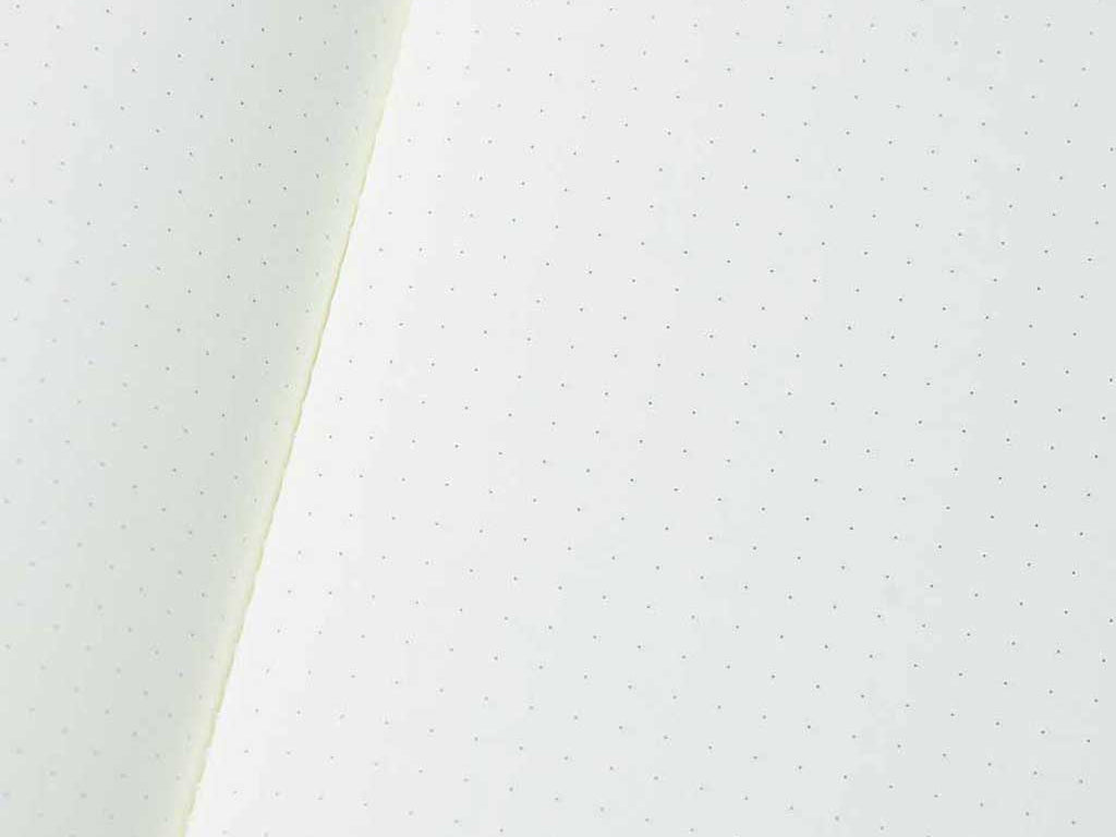 Bluebonnet Soft Cover Dot Grid Notebook | Bluebonnet Case