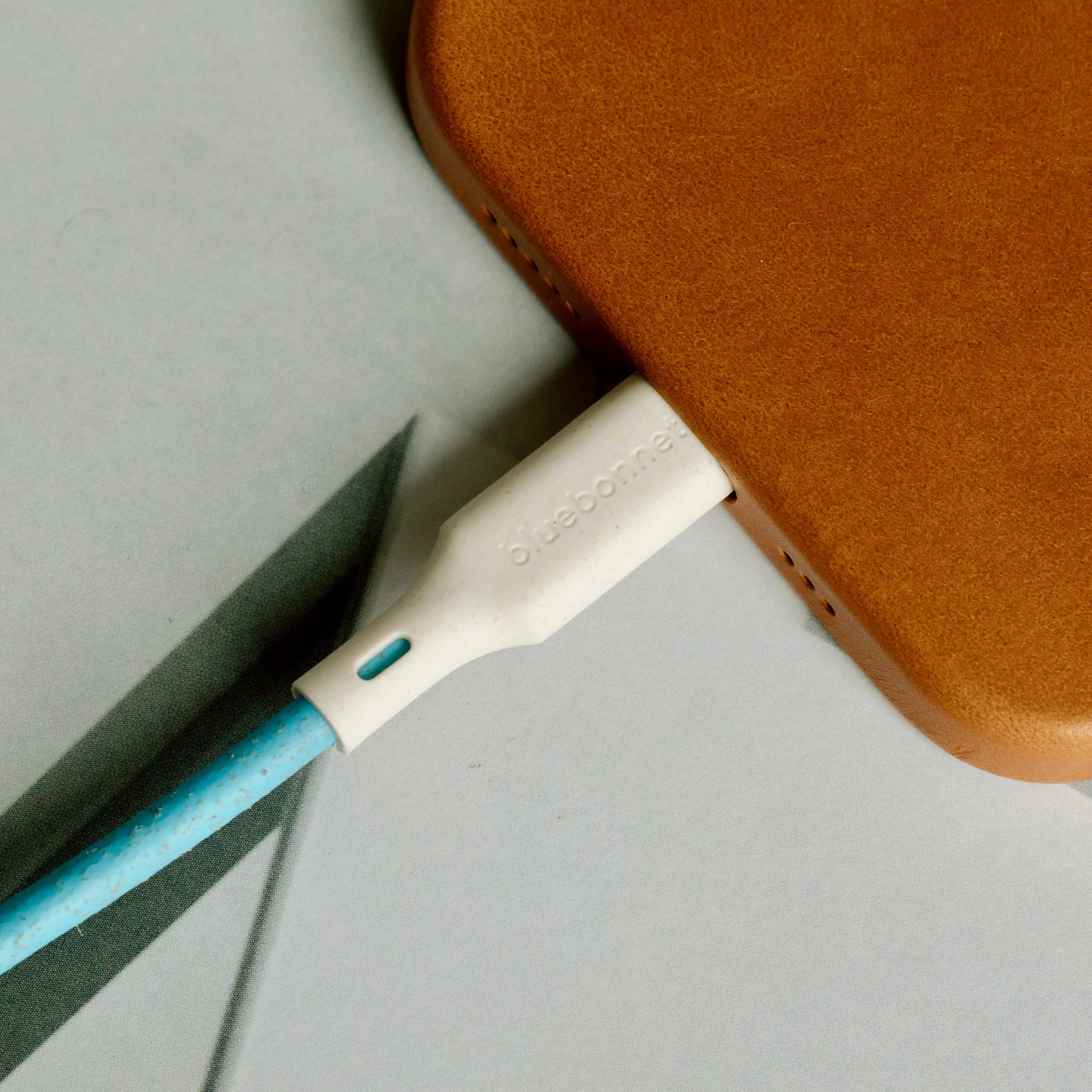 USB-C to USB-C Cable Phone Charger 4 ft | Bluebonnet