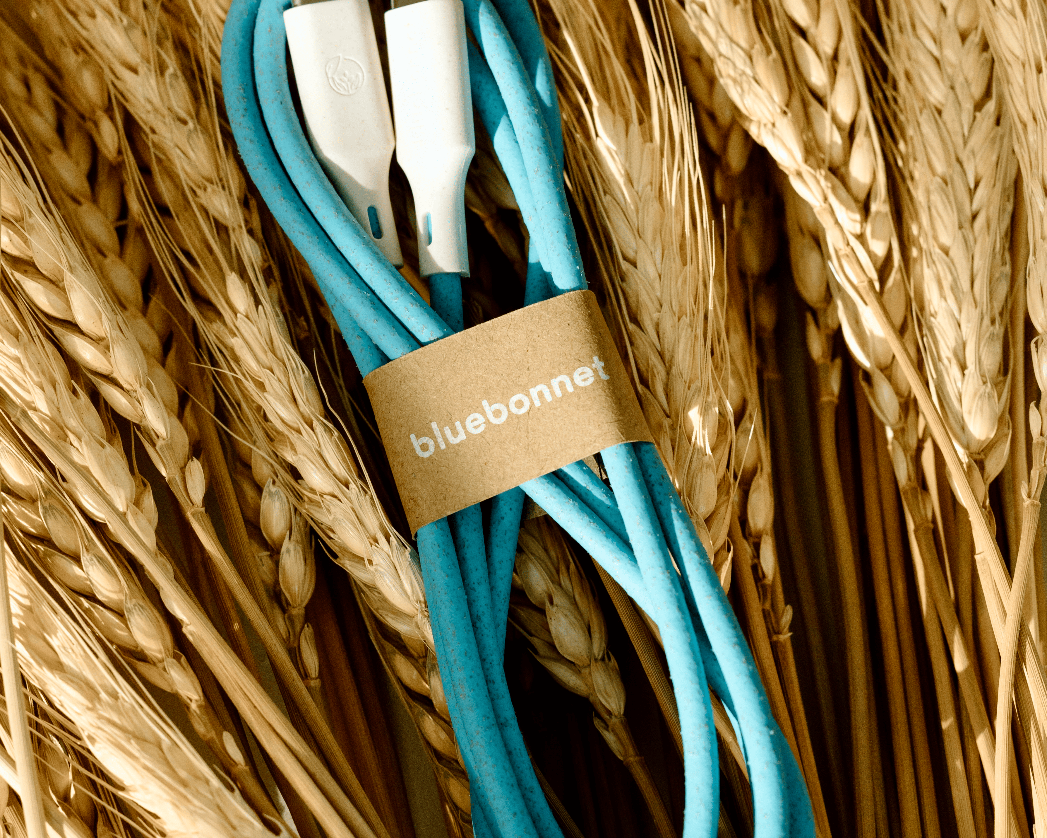 Sustainably Made USB-C to USB-C Cable Phone Charger 4 ft | Bluebonnet