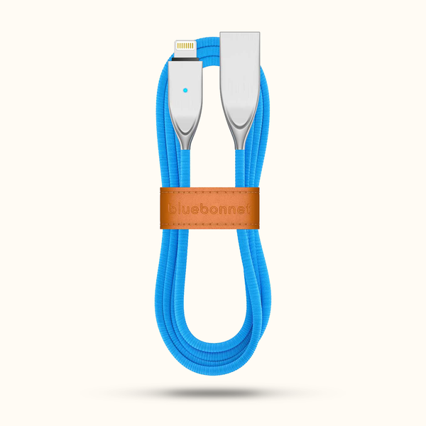 iPhone Charger Lightning Cable + Leather Cord Wrap